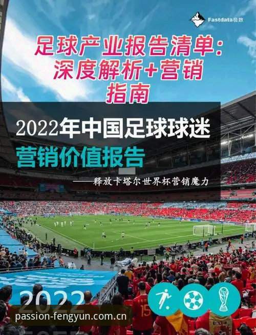 风云体育平台使用与安装全流程深度解析：从下载到实战的全面指南